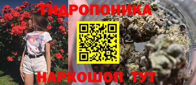 эйфоретик Бузулук