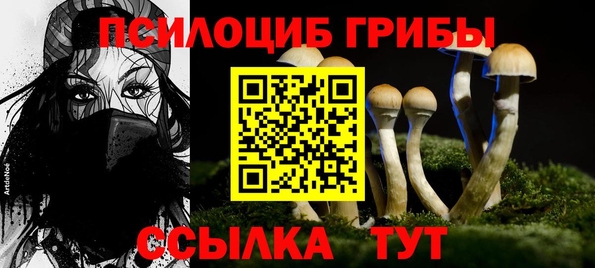 Псилоцибиновые грибы мухоморы  Псилоцибиновые грибы ЛСД  где найти наркотики  Малгобек  Вход с VPN 
